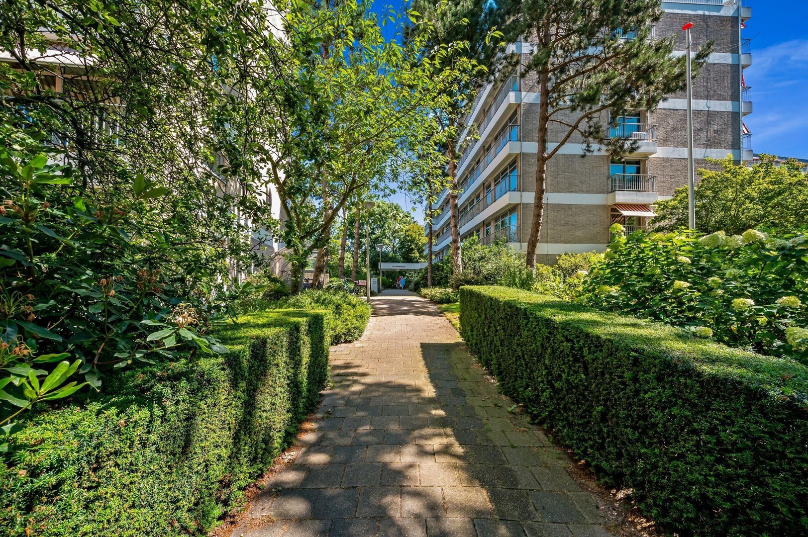 Cees Laseurlaan 107, Den Haag foto-52