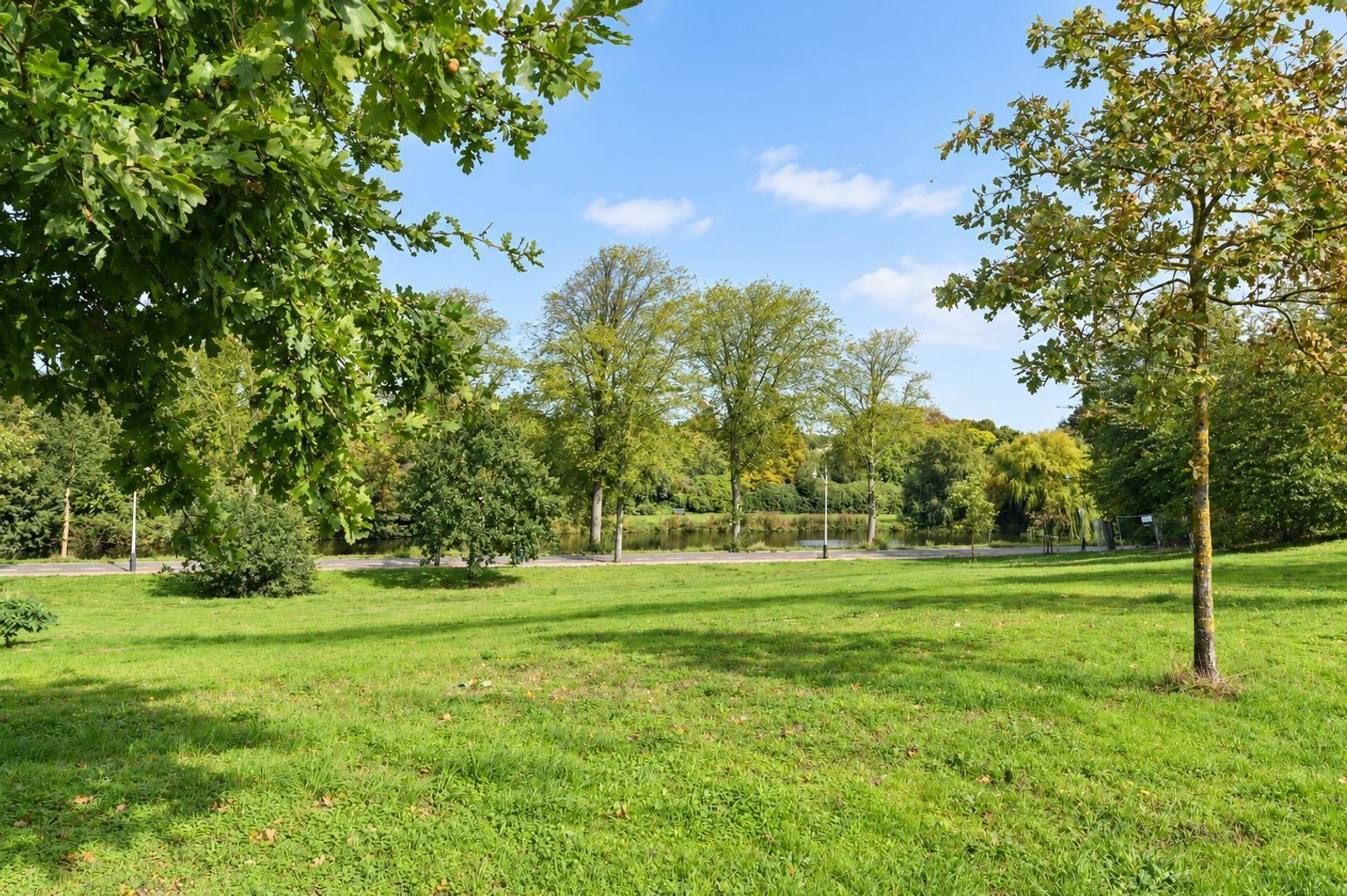 Prof. P.S. Gerbrandyweg 3, Den Haag foto-59