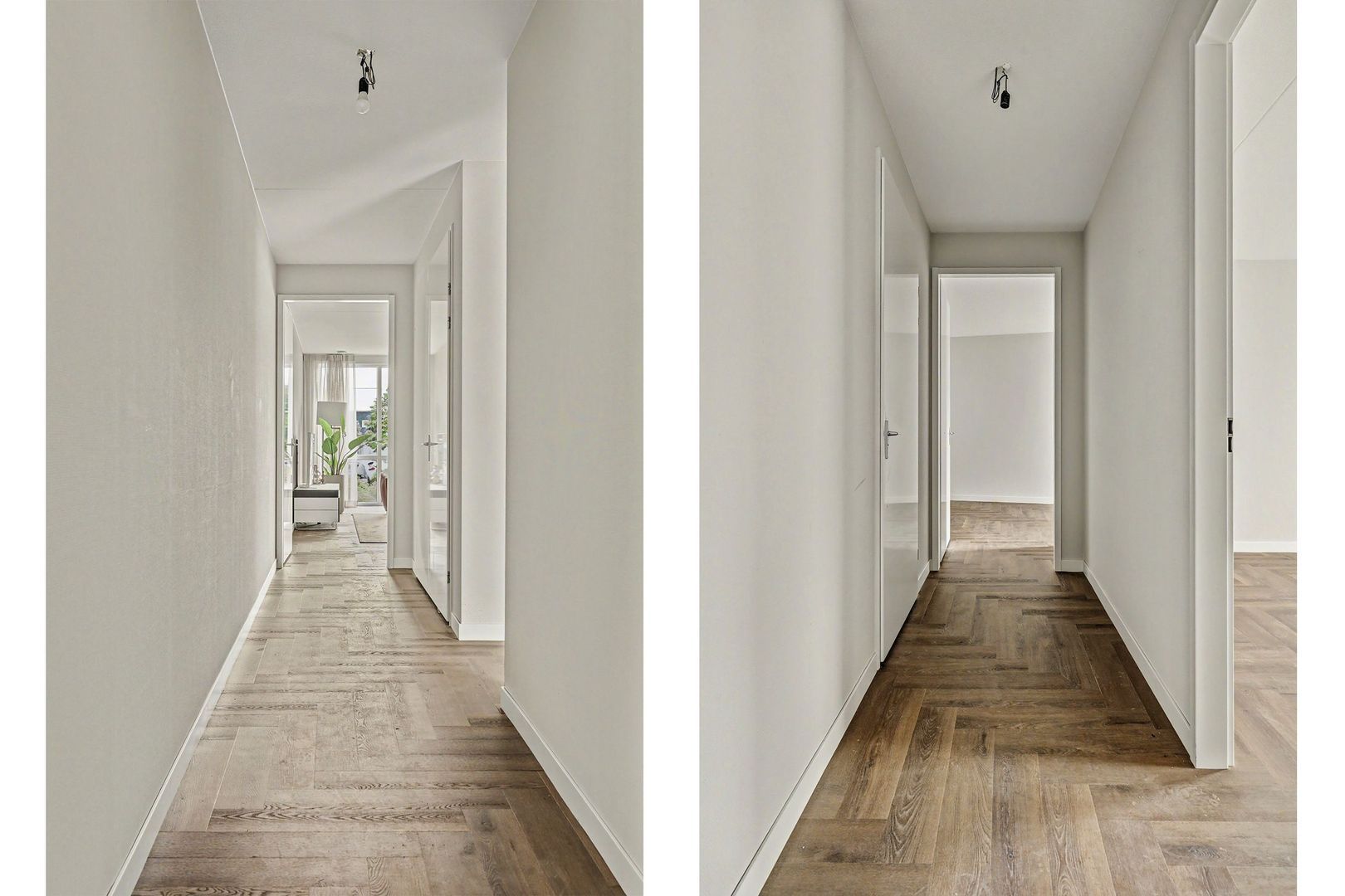 Elantra: Appartement C 15, Goes foto-10