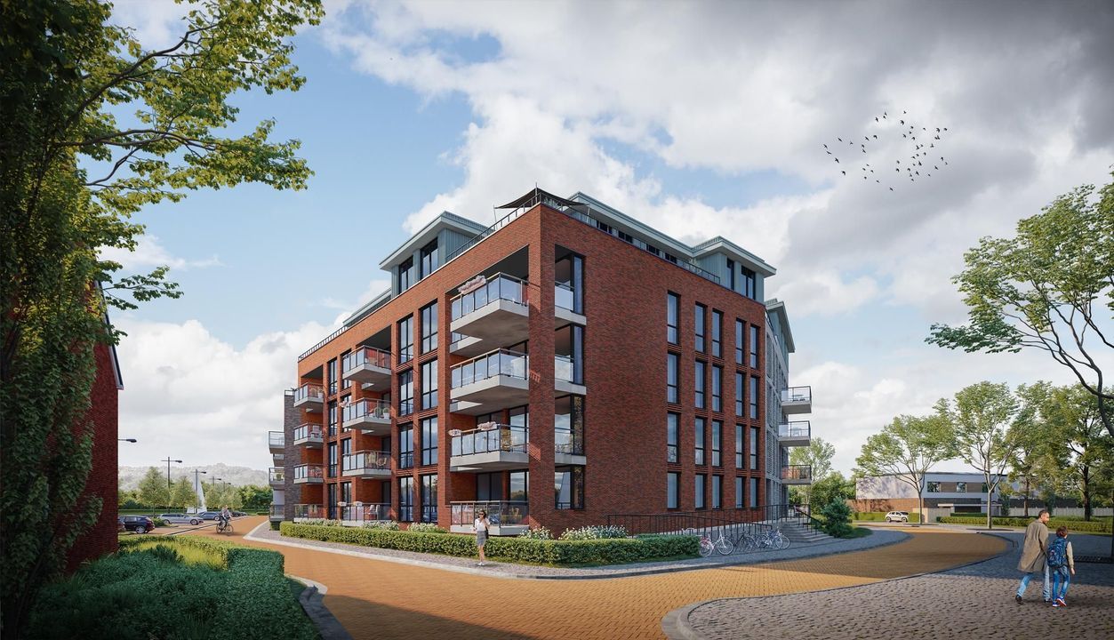 Elantra: Appartement D 16, Goes