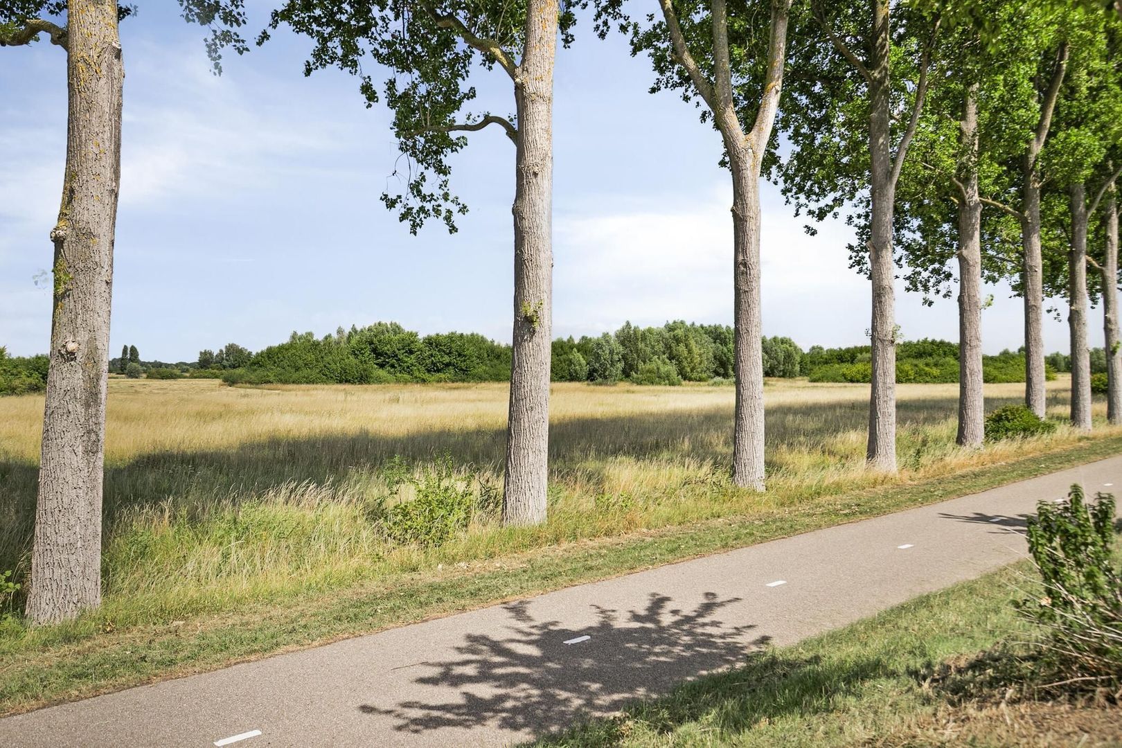 Schelpenlaan 25, Terneuzen foto-26