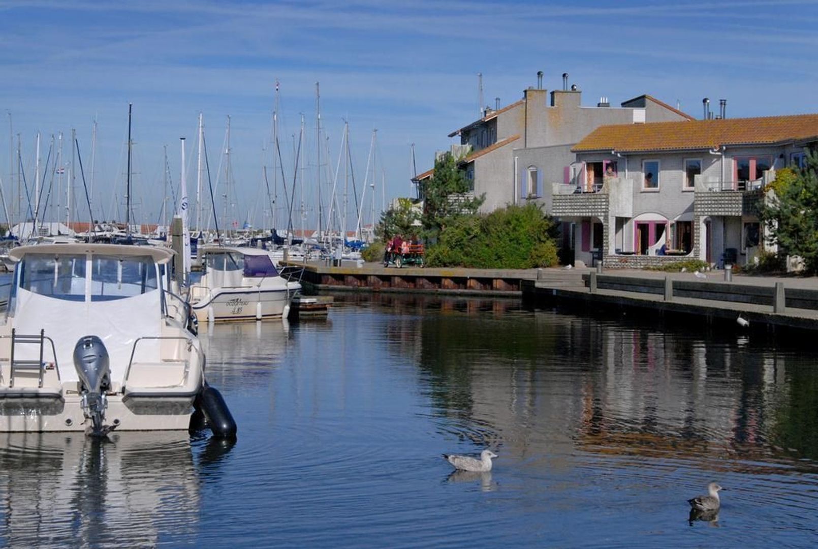 Port Zélande 289, Ouddorp foto-27
