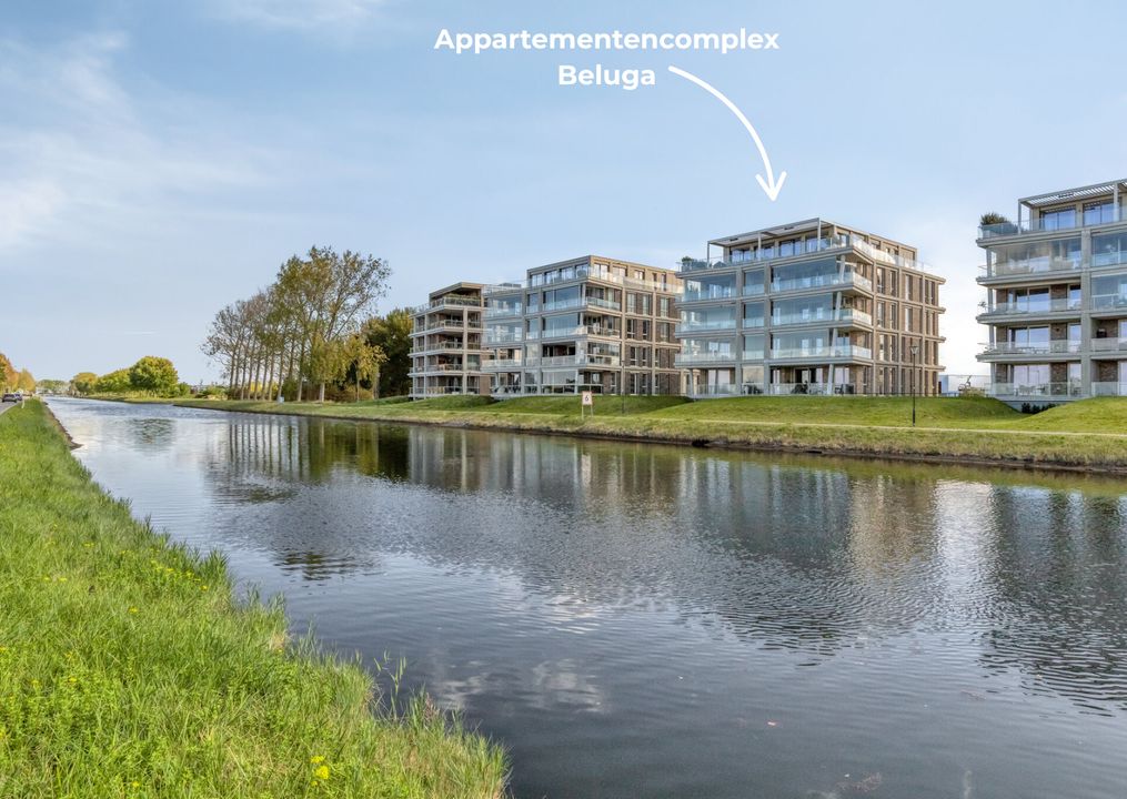 Goese Dieplaan 302, Goes