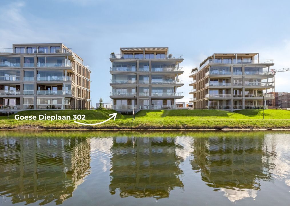 Goese Dieplaan 302, Goes
