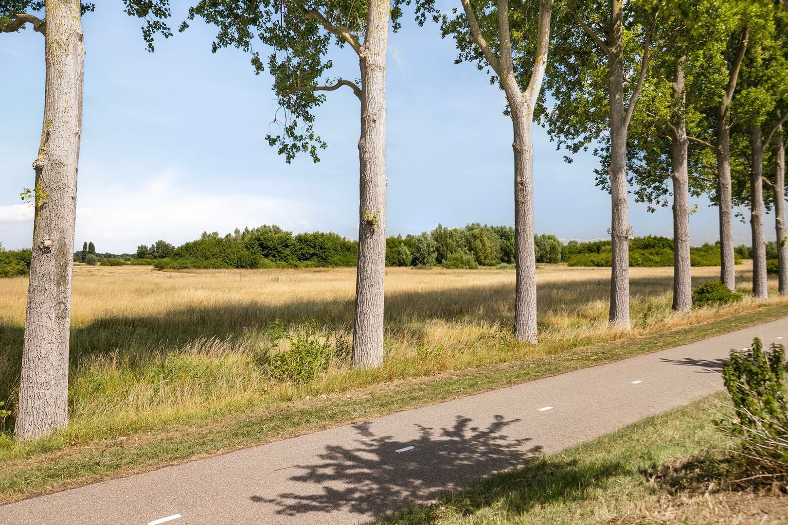 Schelpenlaan 29, Terneuzen foto-26