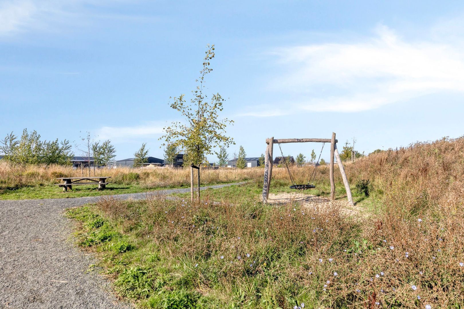 Piccolostraat 1, Goes foto-40