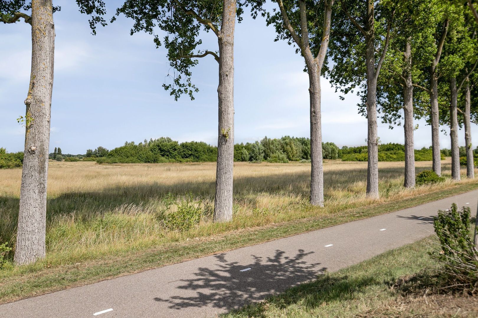 Schelpenlaan 37, Terneuzen foto-27