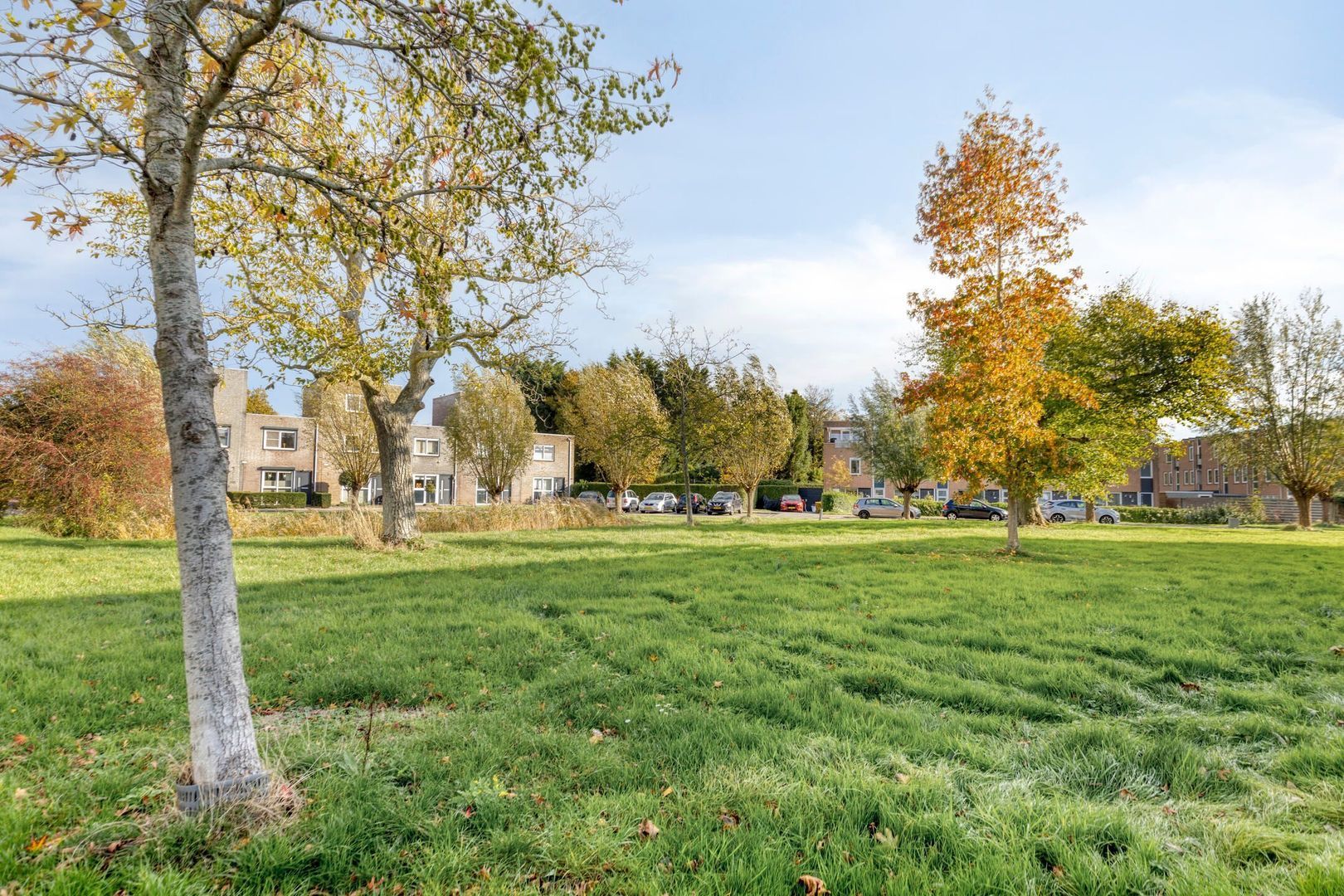 Weegbreepad 86, Goes foto-35