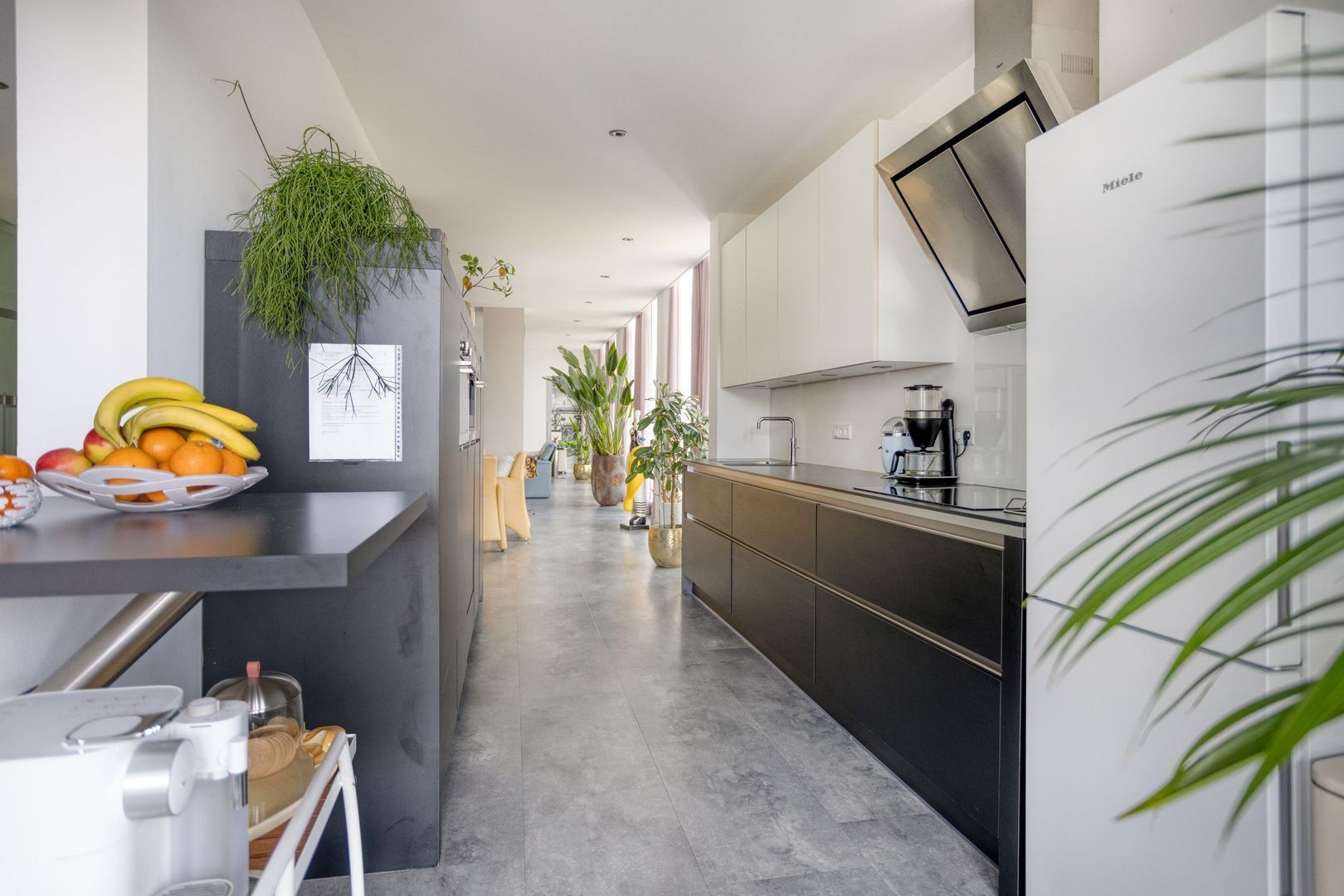 Dam 15, Goes foto-31