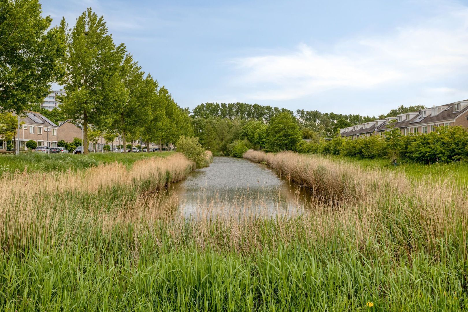 Olmenstraat 1, Goes foto-47