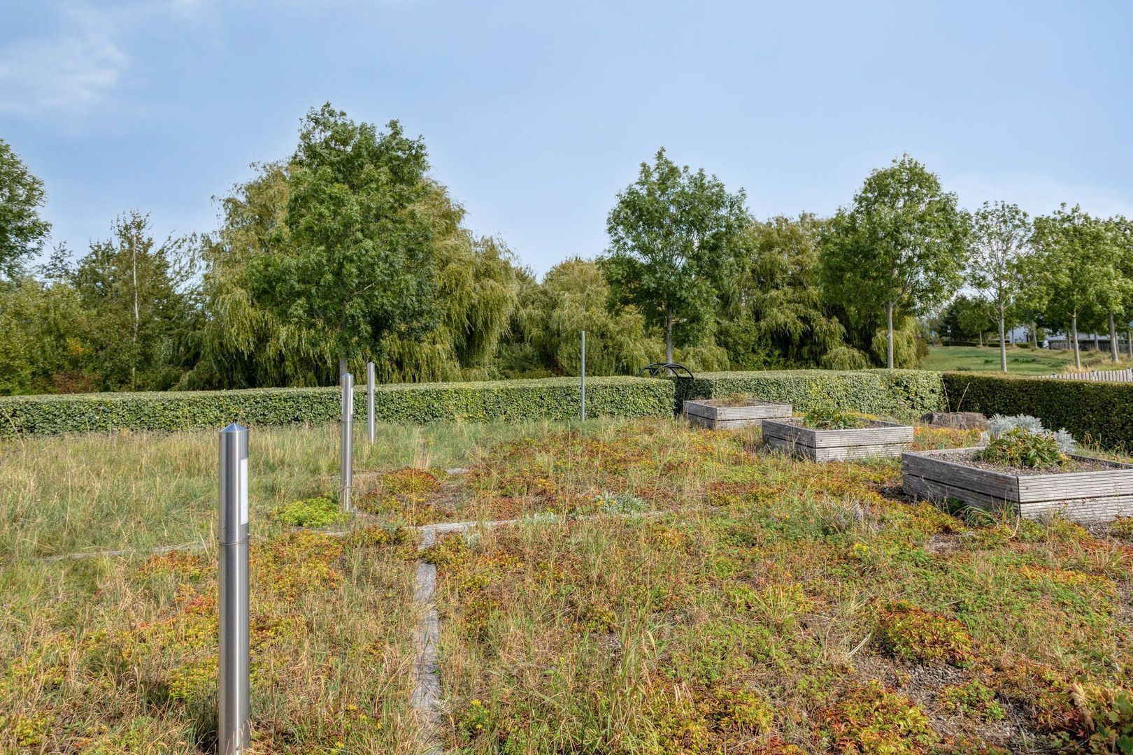 Mosselbank 17, Goes foto-57