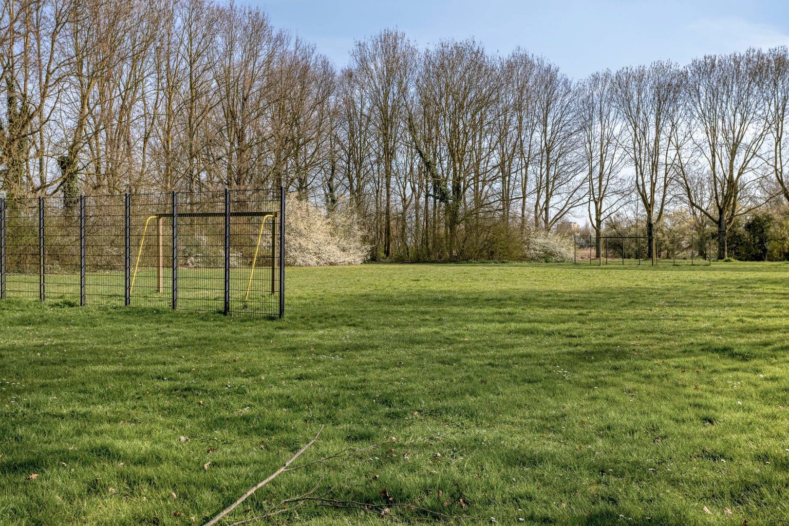 Golda Meirstraat 52, Goes foto-52
