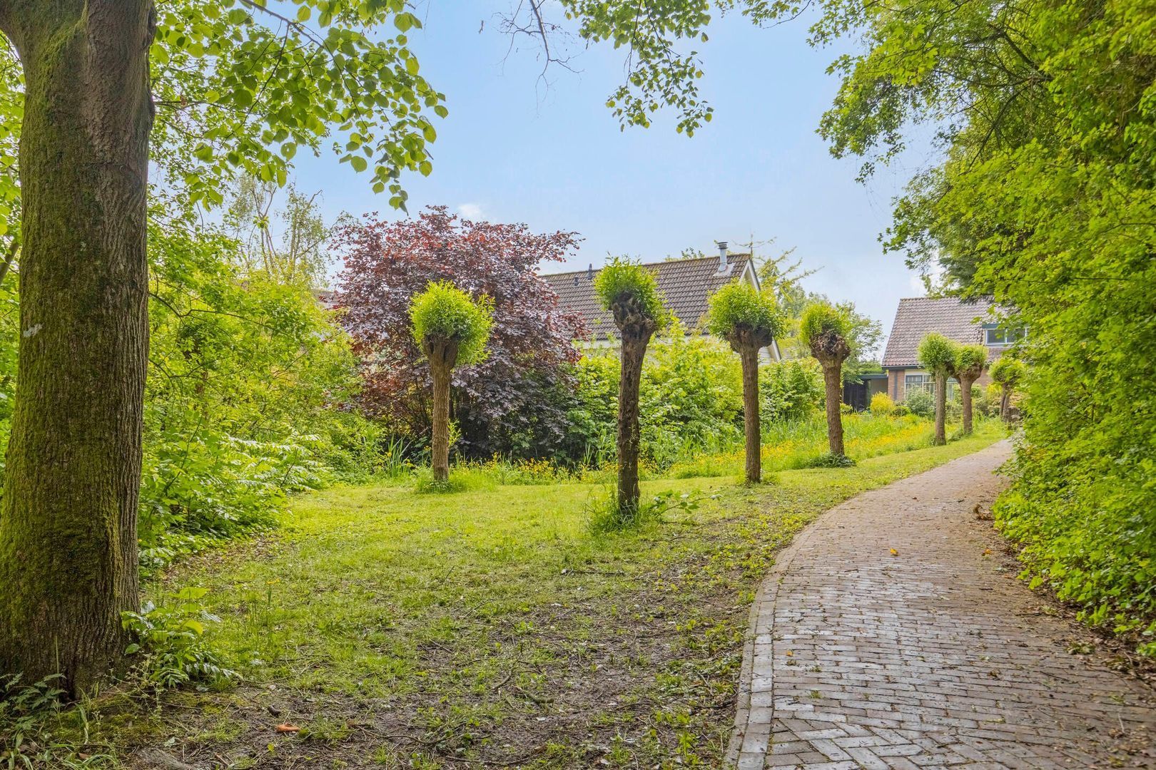 Kleinewei 8, Goes foto-54