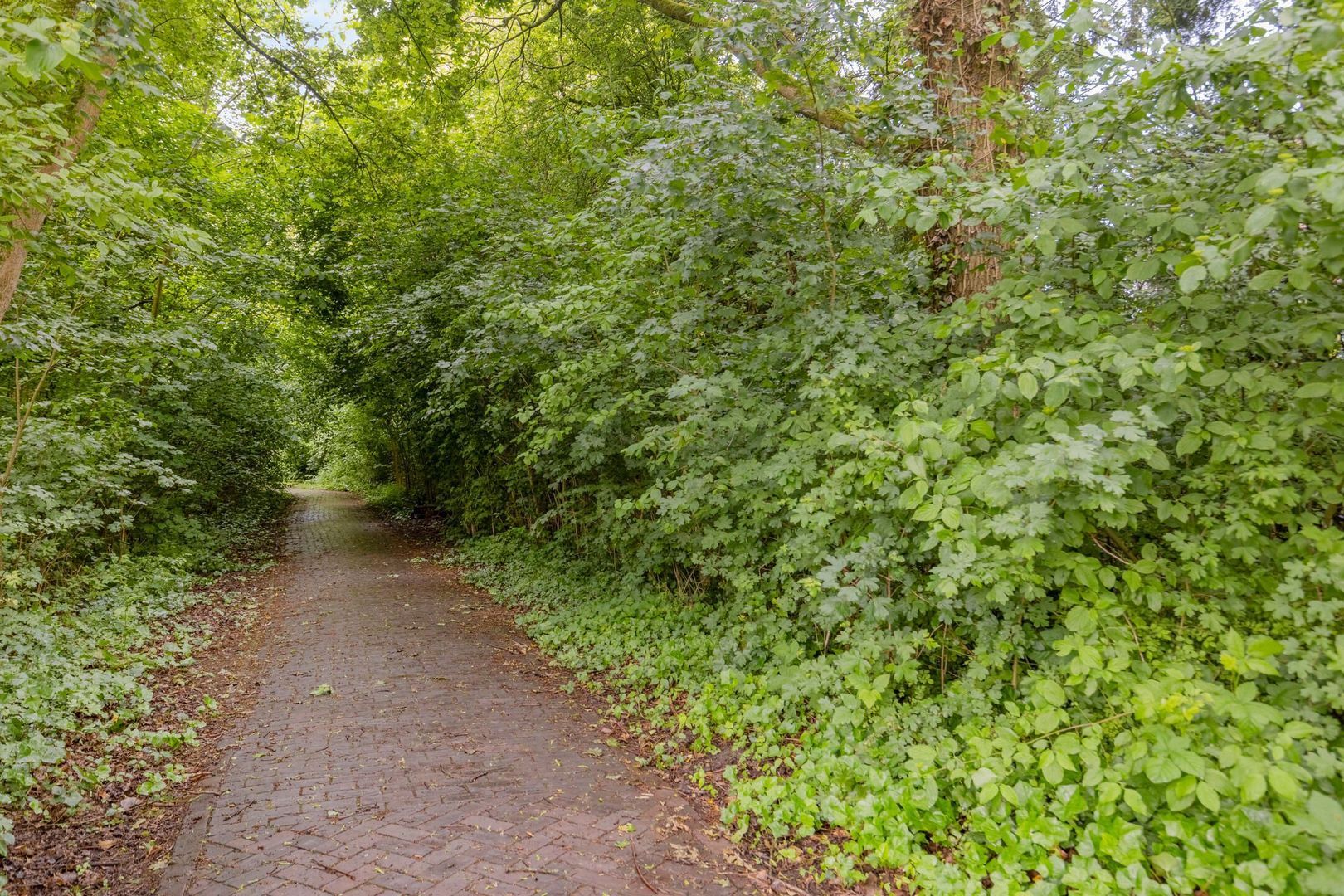 Kleinewei 8, Goes foto-55