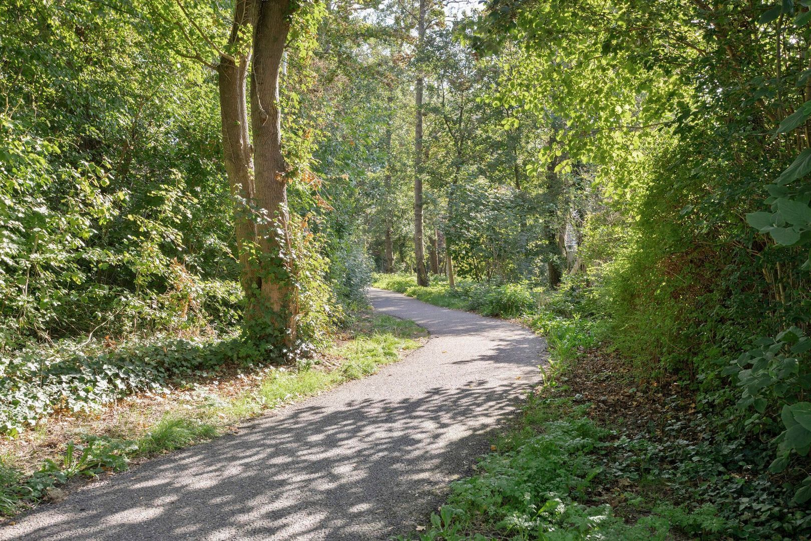 Bosdijklaan 13, Goes foto-41