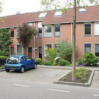Jelle Ooteman