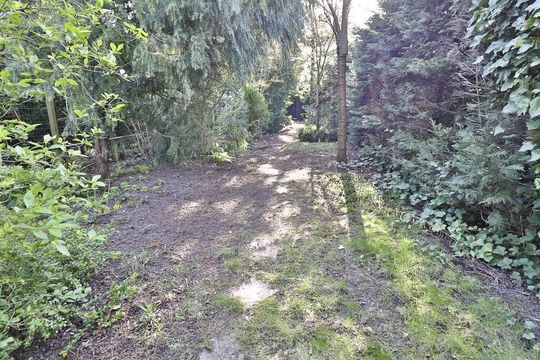 Koepoortsweg 63, Hoorn foto-41