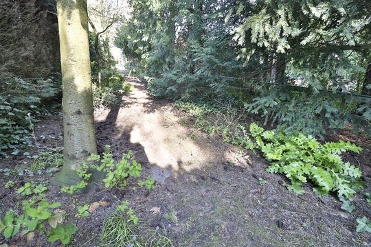 Koepoortsweg 63, Hoorn foto-42