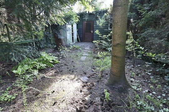 Koepoortsweg 63, Hoorn foto-43