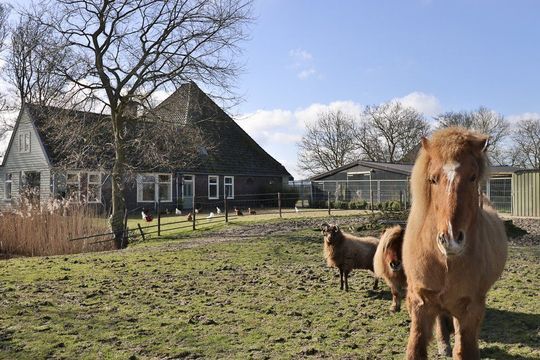 Oosterweg 14, Andijk foto-6