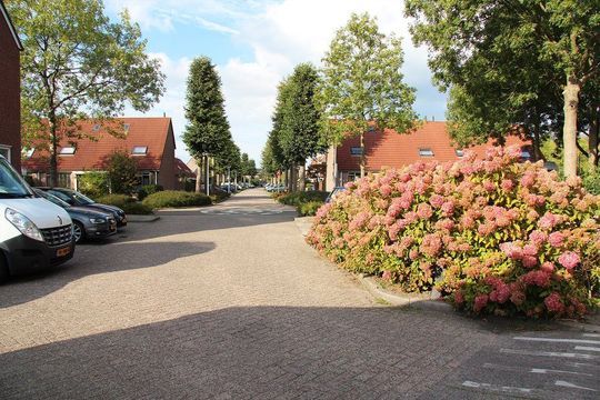 Steker 5, Enkhuizen foto-21