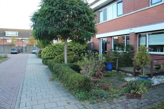 Voor Anker 7, Enkhuizen foto-1
