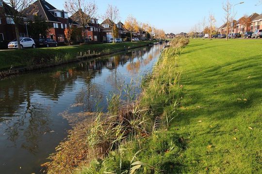 Zuider Kadijk 36, Enkhuizen foto-51