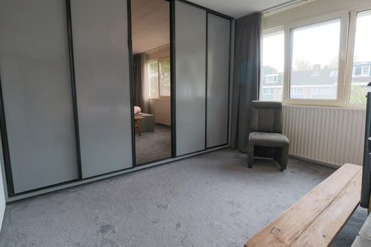 Mandrill 61, Wognum foto-28