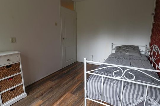 Mandrill 61, Wognum foto-31