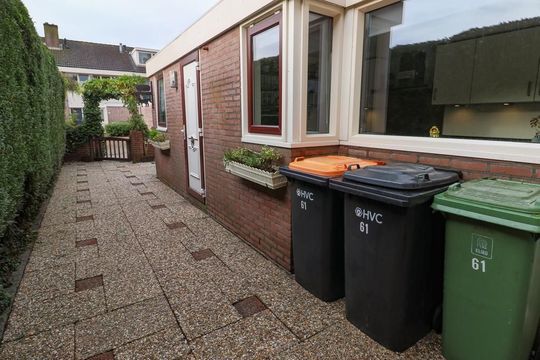 Mandrill 61, Wognum foto-50