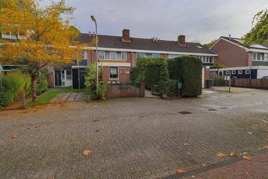 Mandrill 61, Wognum foto-51