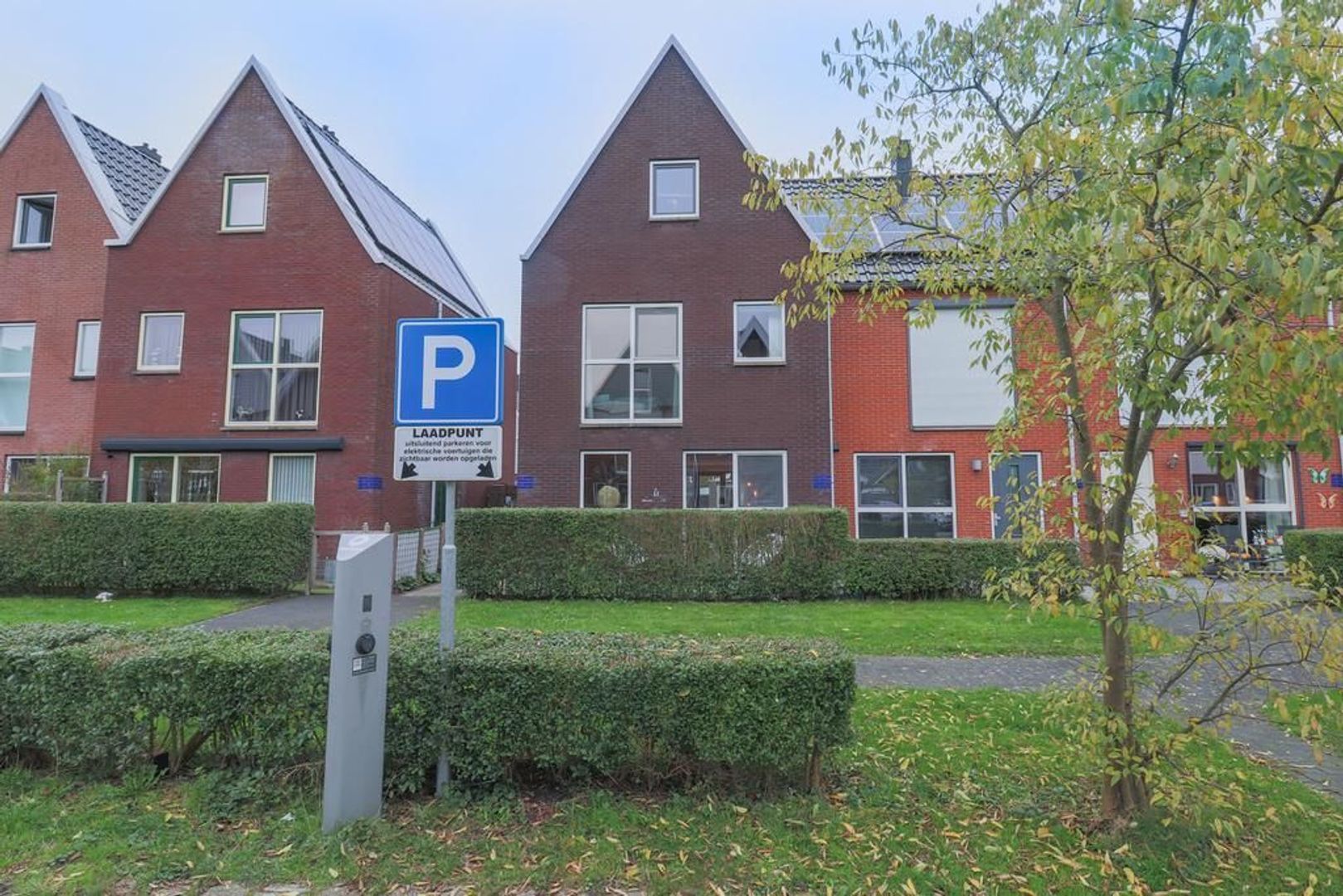 Wierdijk 56
