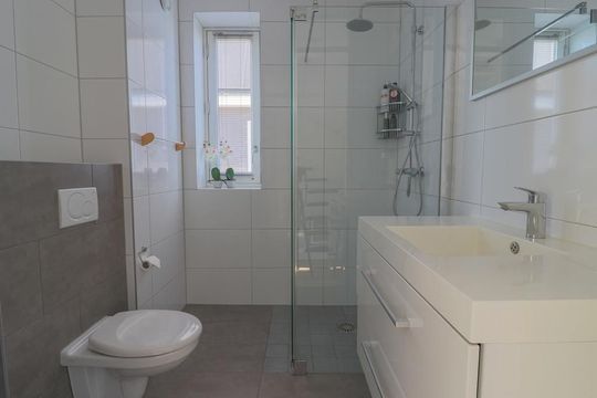 Dijkgraaf 38, Zwaag foto-39