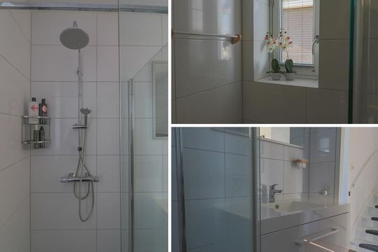 Dijkgraaf 38, Zwaag foto-40