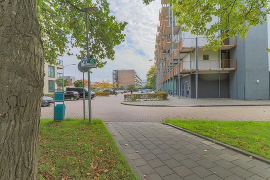 Kaap Hoorn 37, Hoorn foto-43