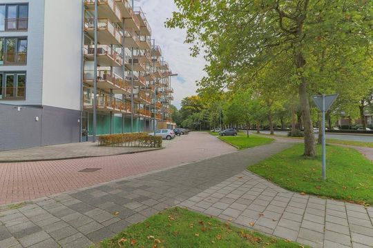 Kaap Hoorn 37, Hoorn foto-44