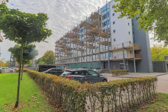 Kaap Hoorn 37, Hoorn foto-41