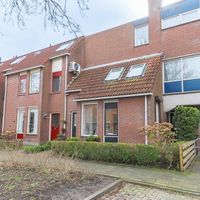 Jelle Ooteman