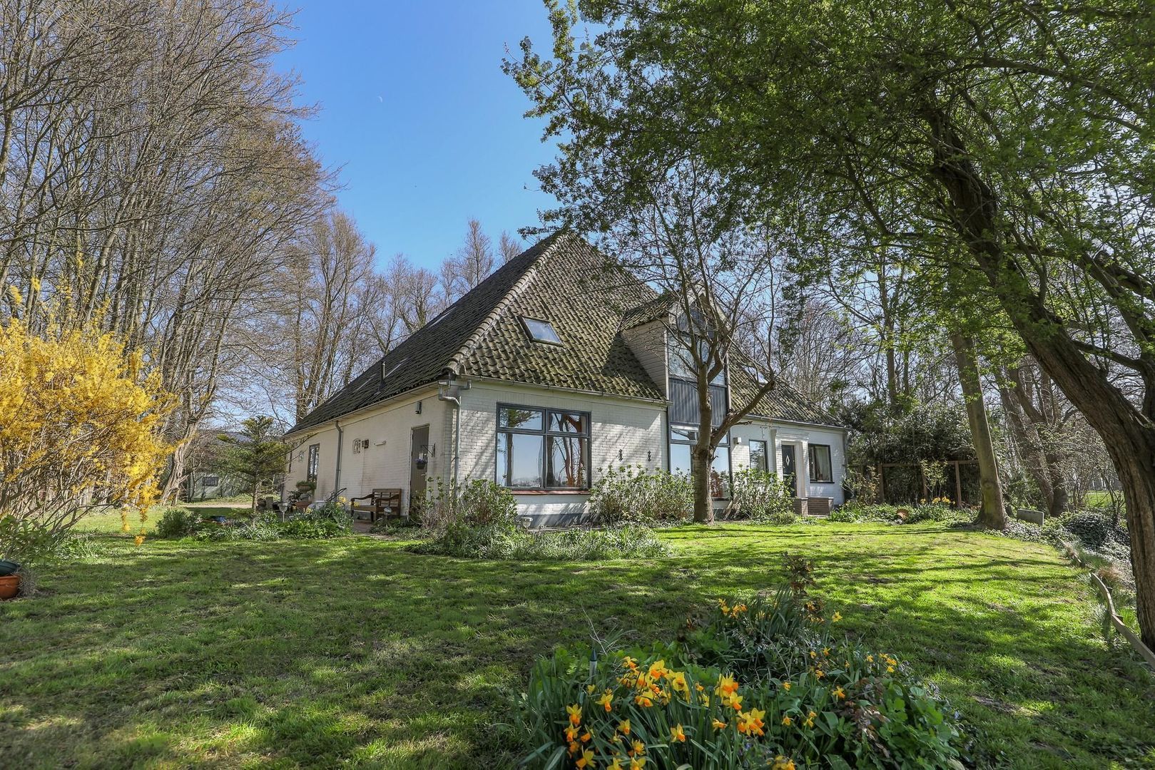 Blokdijk 1