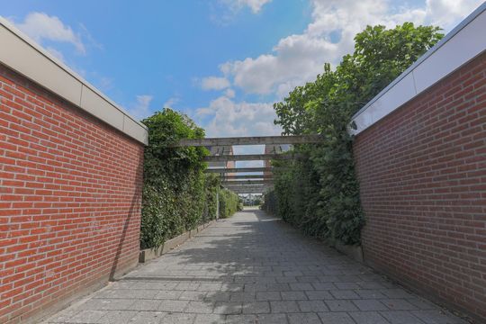 Onder Zeil 27, Enkhuizen foto-47