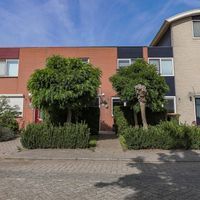 Jelle Ooteman