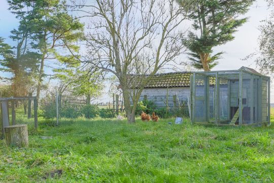 Oosterdijk 34 E, Enkhuizen foto-52