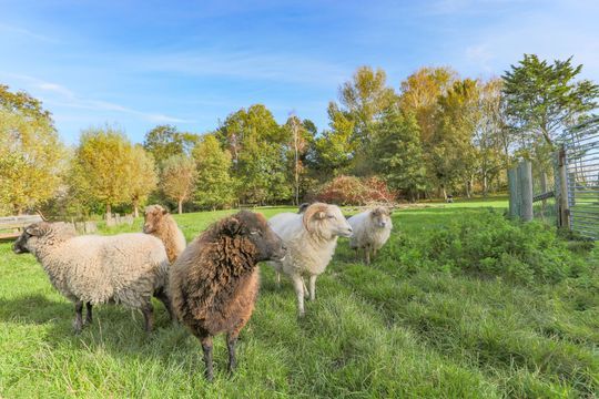 Oosterdijk 34 E, Enkhuizen foto-53