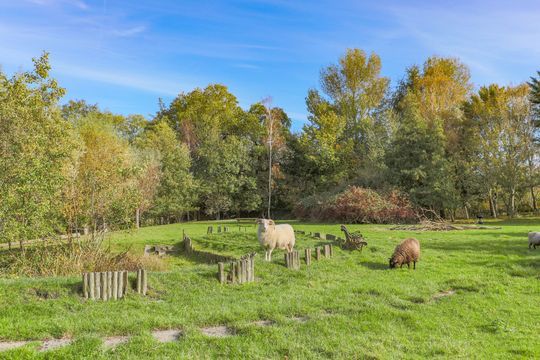 Oosterdijk 34 E, Enkhuizen foto-11