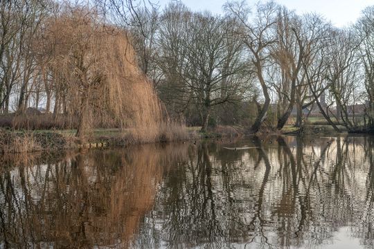 Noorder Havendijk 10, Enkhuizen foto-47