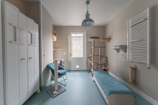 Katschip 11, Enkhuizen foto-7