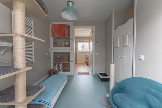 Katschip 11, Enkhuizen foto-8