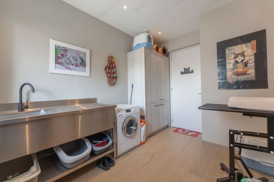 Katschip 11, Enkhuizen foto-28