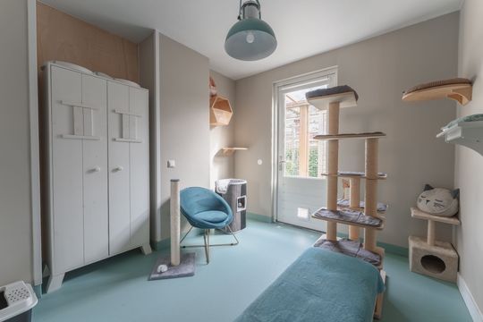 Katschip 11, Enkhuizen foto-30