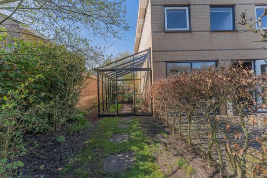 Ruiter 3, Enkhuizen foto-46